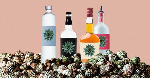 無酒精飲品如何實現“酒香四溢”？看國外酒企創新酒精飲料的三大路徑